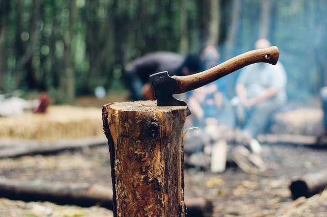 3 techniques pour couper un arbre
