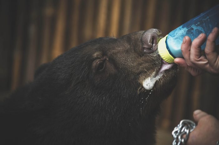 Comment faire pour travailler dans un zoo ?